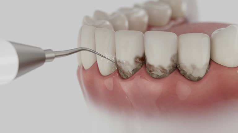Reliable Dental contractor in Brunswick, GA by Dentist Open Now